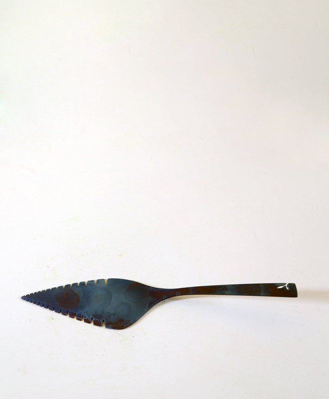 CAKE SERVER VELVET STEEL